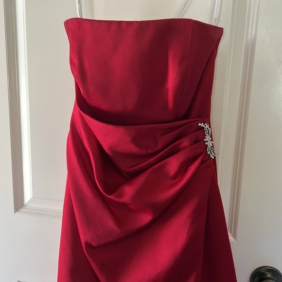 Beautiful Ruby, red David’s bridal prom or bridesmaid gown - Picture 3 of 6